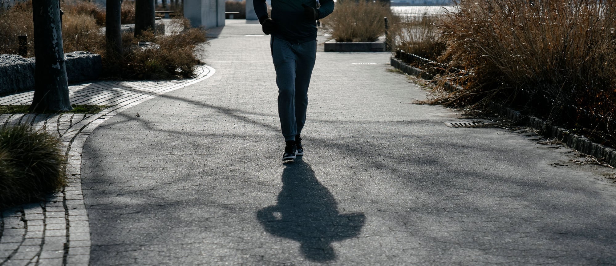 Runner on a path in a park